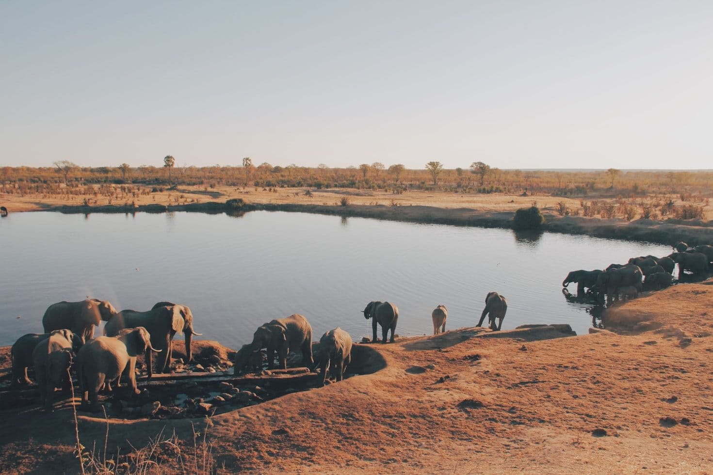 Hwange National Park: Zimbabwe's Best-Kept Safari Secret