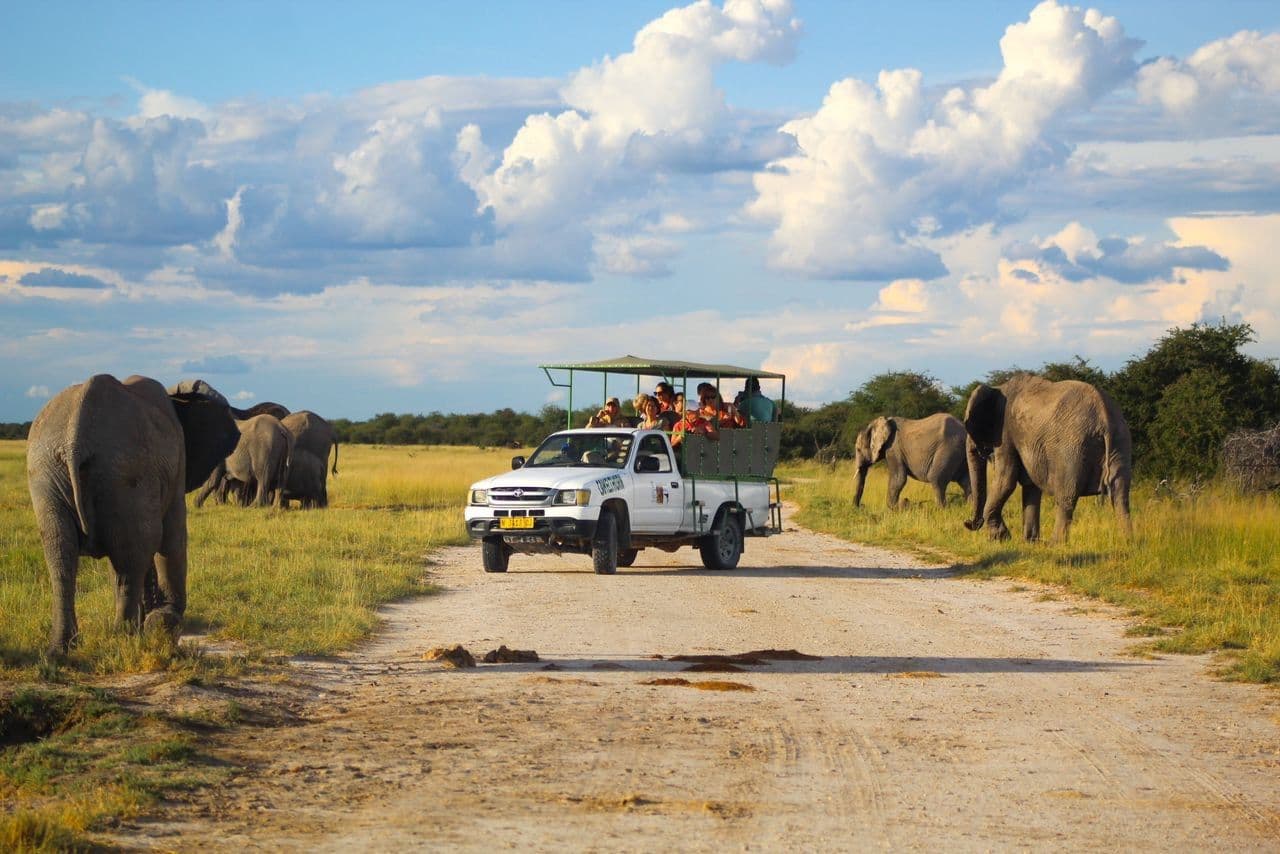 Namibia Self-Drive Safari: A Complete Planning Guide