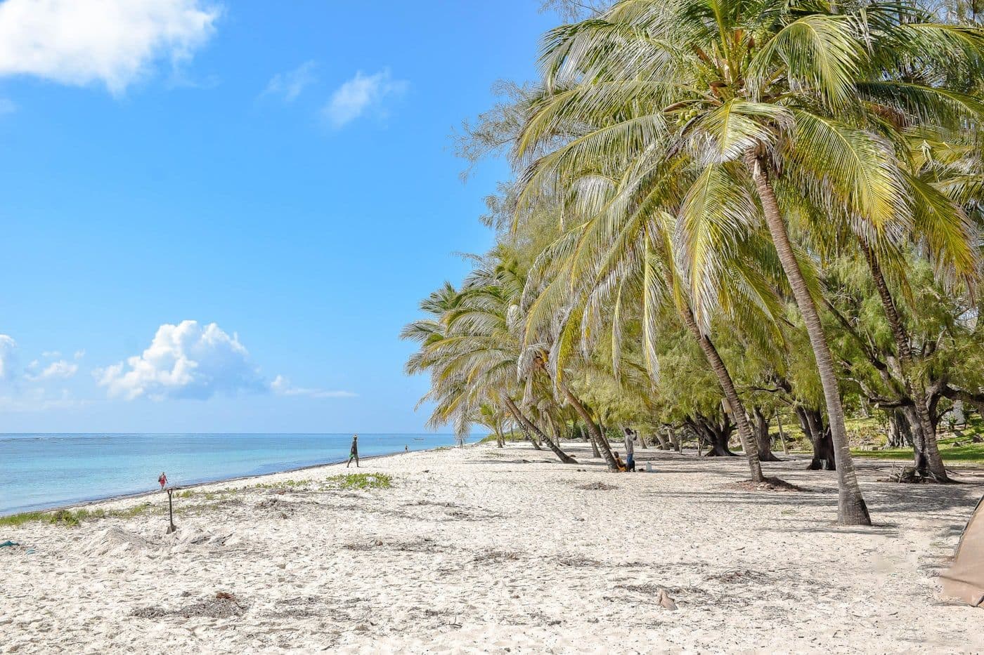 Mombasa & the Kenya Coast: Beaches, Forts & Swahili Culture