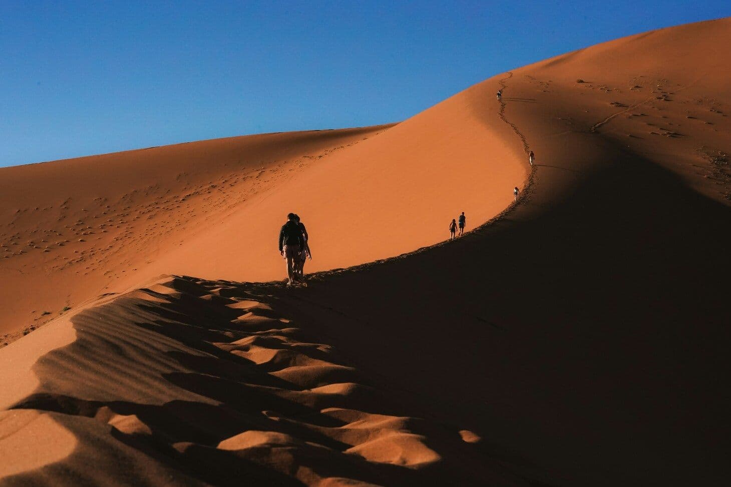 Sossusvlei & Deadvlei: How to Visit Namibia's Iconic Dunes