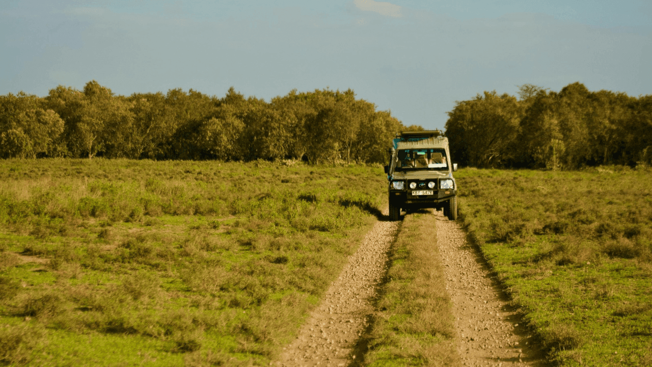 How Much Does a Kenya Safari Cost in 2026? Honest Price Breakdown