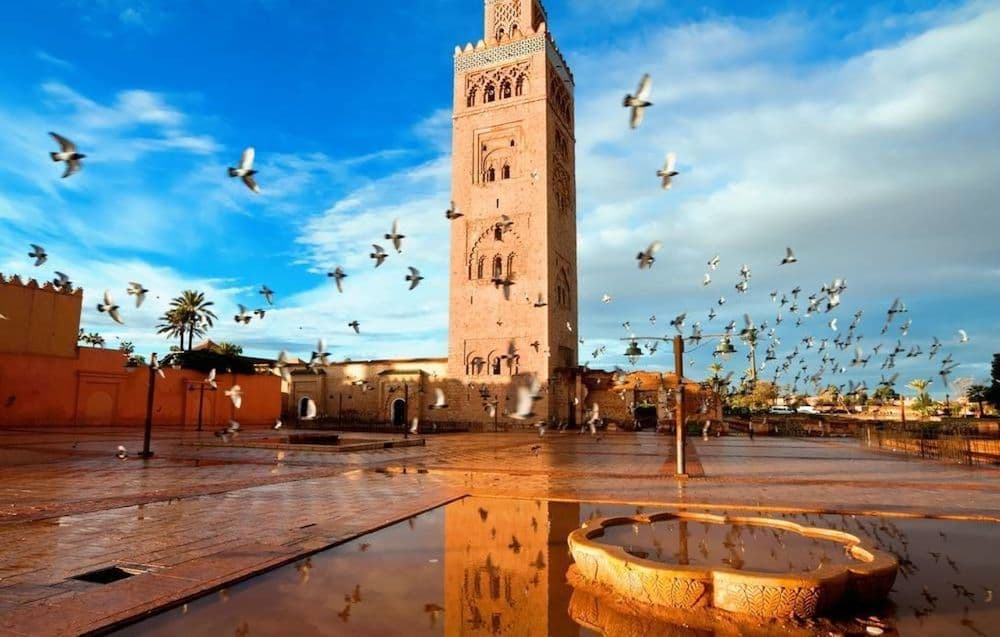 Best Things to Do in Casablanca Morocco