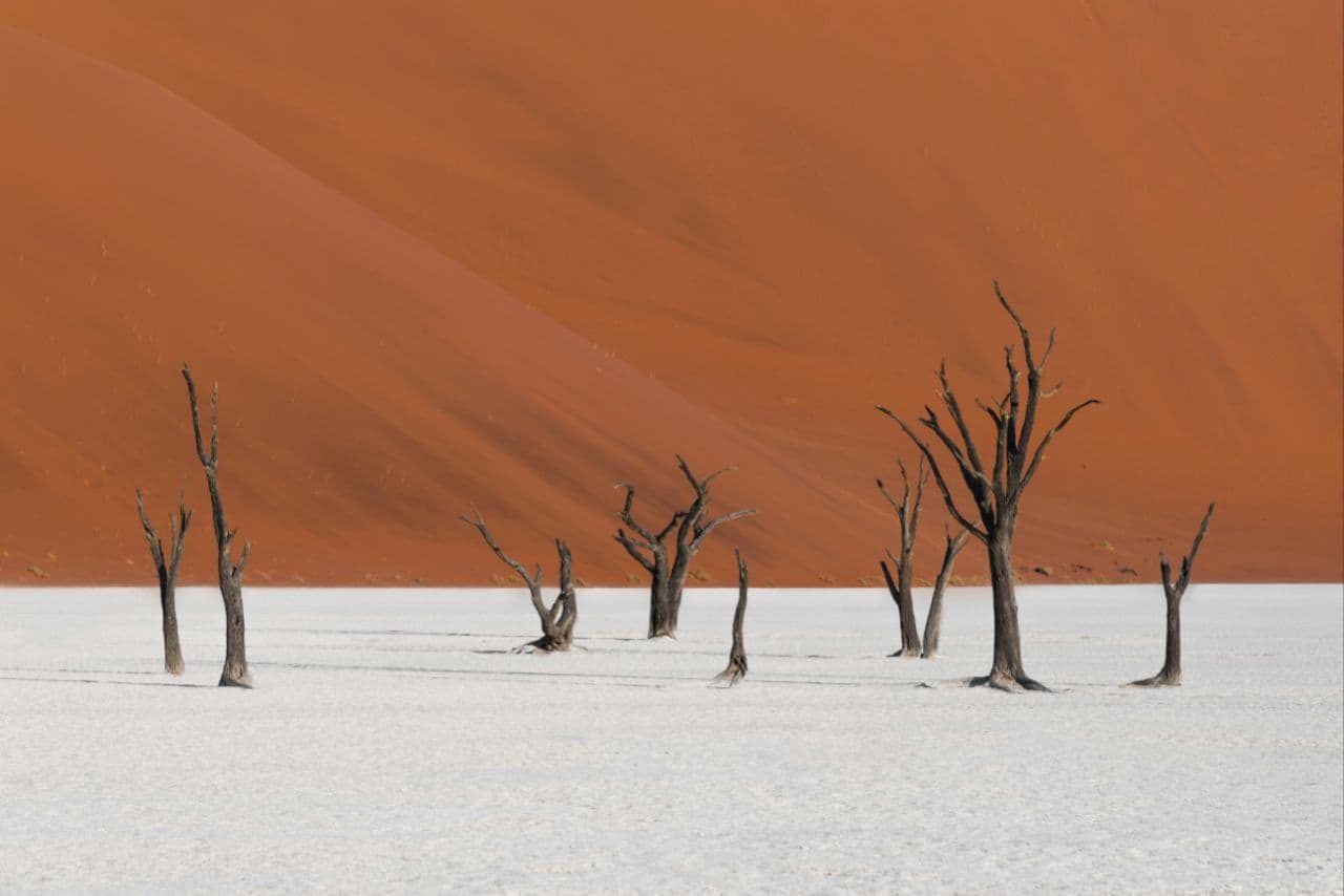 The Ultimate Namibia Itinerary: Where to Go, What to See & How to Plan