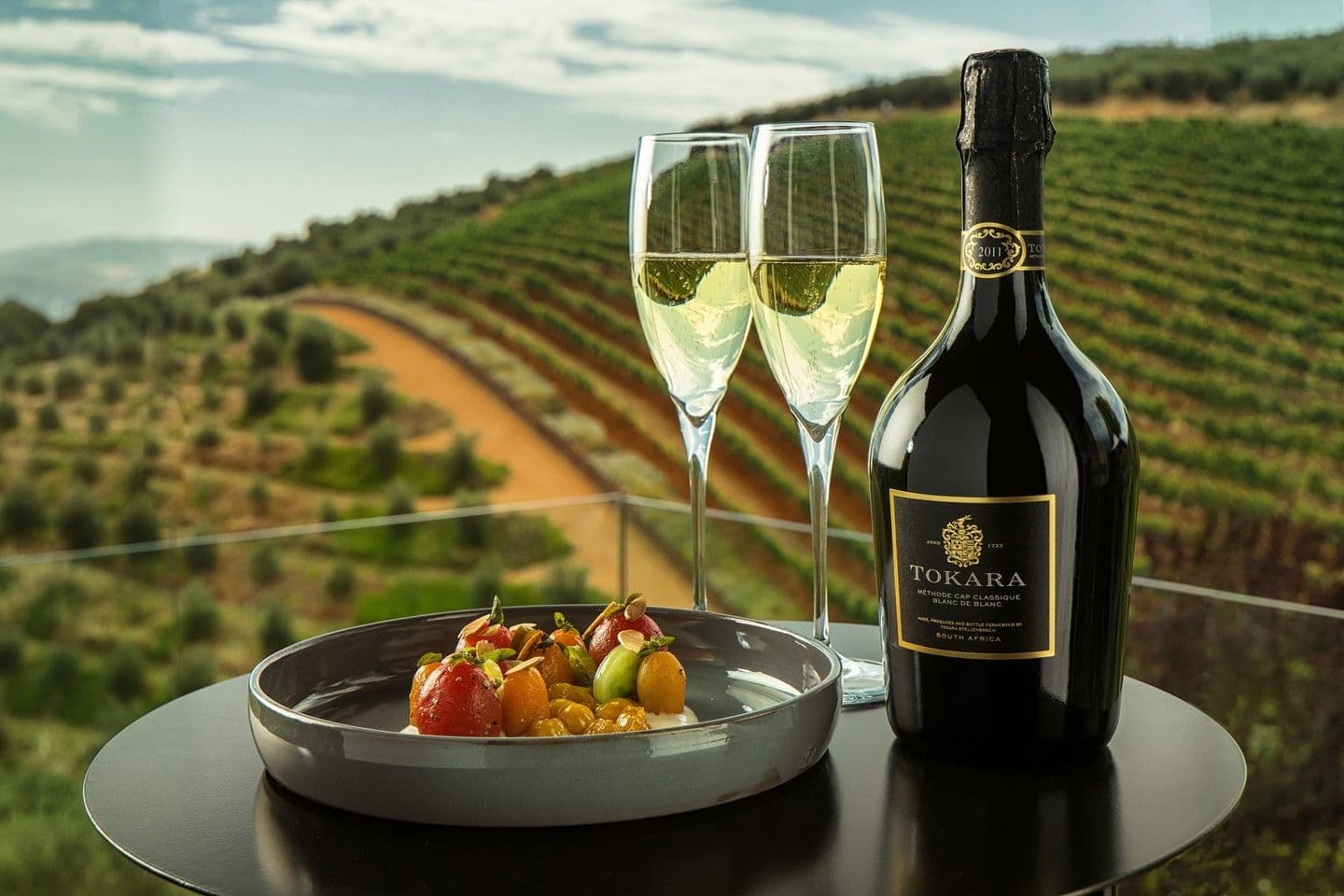 Wine Not? The Ultimate Guide to South Africa’s Winelands